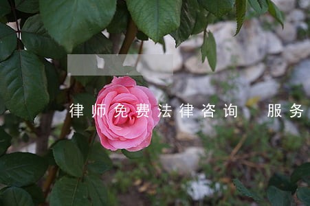 律师免费法律咨询 服务 律师免费法律咨询 服务